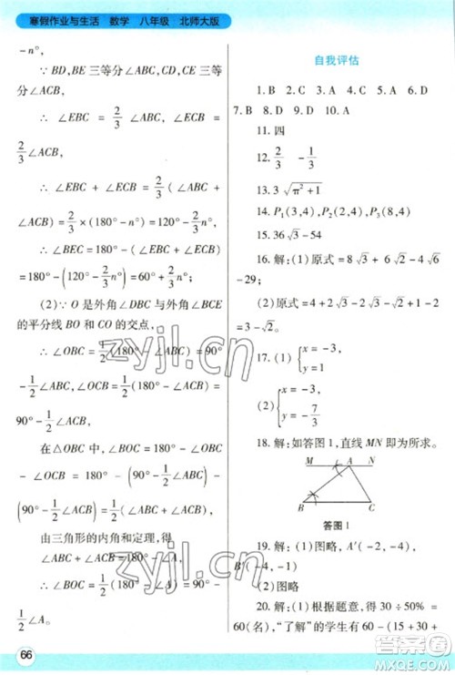 陕西师范大学出版总社2023寒假作业与生活八年级数学北师大版参考答案