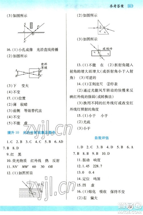 陕西师范大学出版总社2023寒假作业与生活八年级物理北师大版参考答案