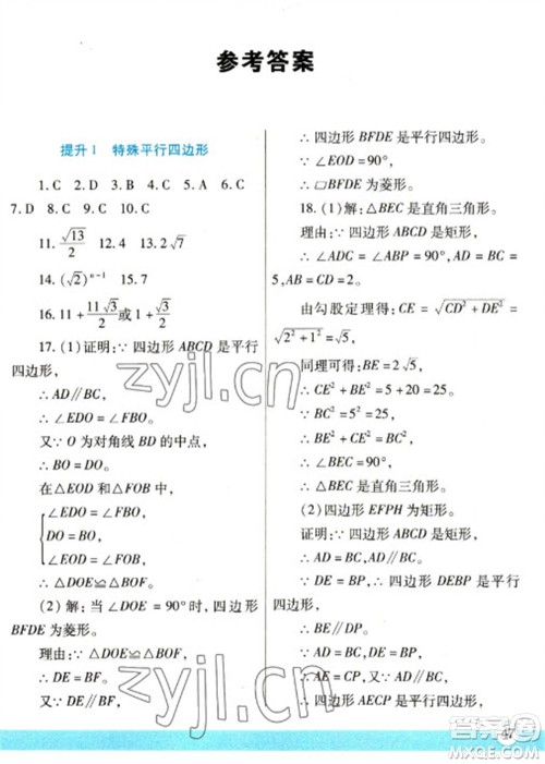 陕西师范大学出版总社2023寒假作业与生活九年级数学北师大版参考答案