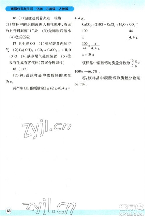 陕西师范大学出版总社2023寒假作业与生活九年级化学人教版参考答案