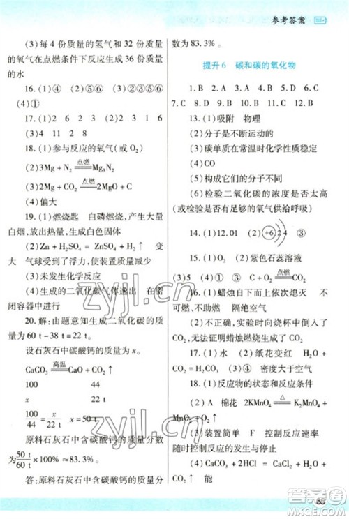 陕西师范大学出版总社2023寒假作业与生活九年级化学人教版参考答案