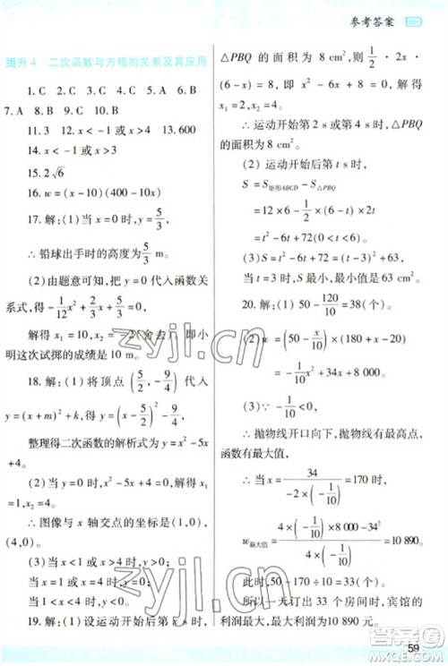 陕西师范大学出版总社2023寒假作业与生活九年级数学人教版参考答案
