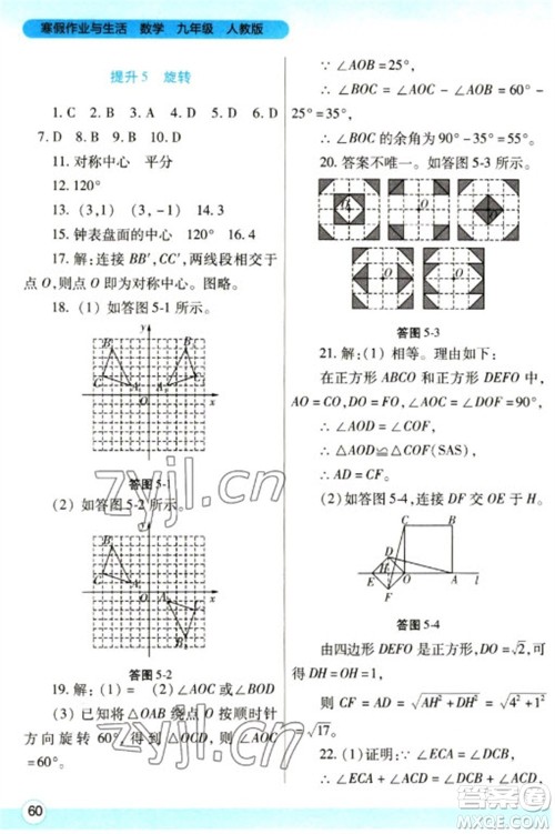陕西师范大学出版总社2023寒假作业与生活九年级数学人教版参考答案
