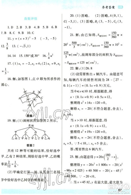 陕西师范大学出版总社2023寒假作业与生活九年级数学人教版参考答案