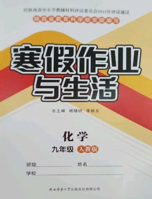 陕西师范大学出版总社2023寒假作业与生活九年级化学人教版参考答案