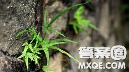 人生中的赛跑是在有限的时间内看你跑了多少路程材料作文800字 人生中的赛跑是在有限的时间内看你跑了多少路程材料作文800字