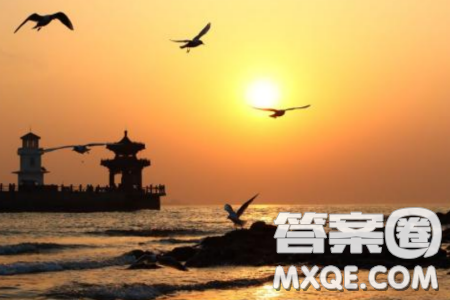 青春真有意思主题作文600字 关于青春真有意思的主题作文600字