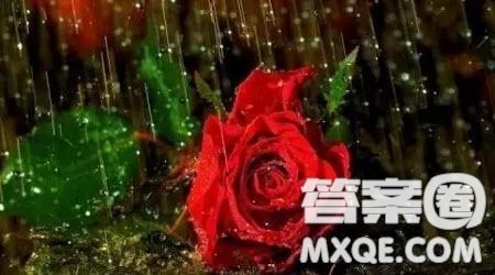 国潮主题作文800字 关于国潮的主题作文800字