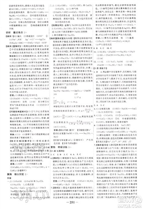 未来出版社2023世纪金榜初中全程复习方略九年级化学人教版参考答案