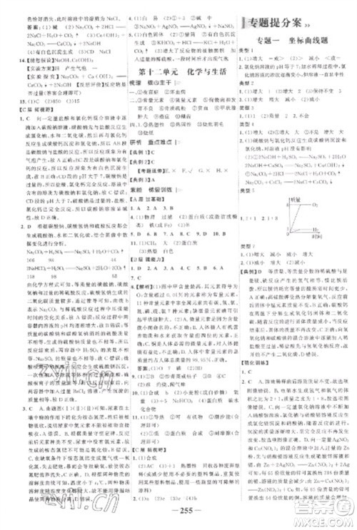 未来出版社2023世纪金榜初中全程复习方略九年级化学人教版参考答案