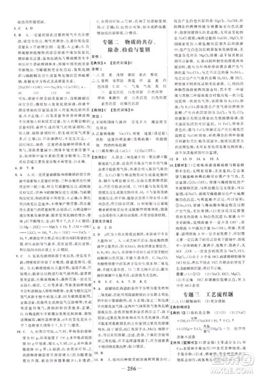 未来出版社2023世纪金榜初中全程复习方略九年级化学人教版参考答案