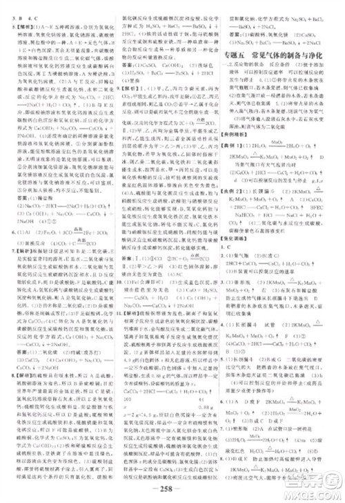 未来出版社2023世纪金榜初中全程复习方略九年级化学人教版参考答案