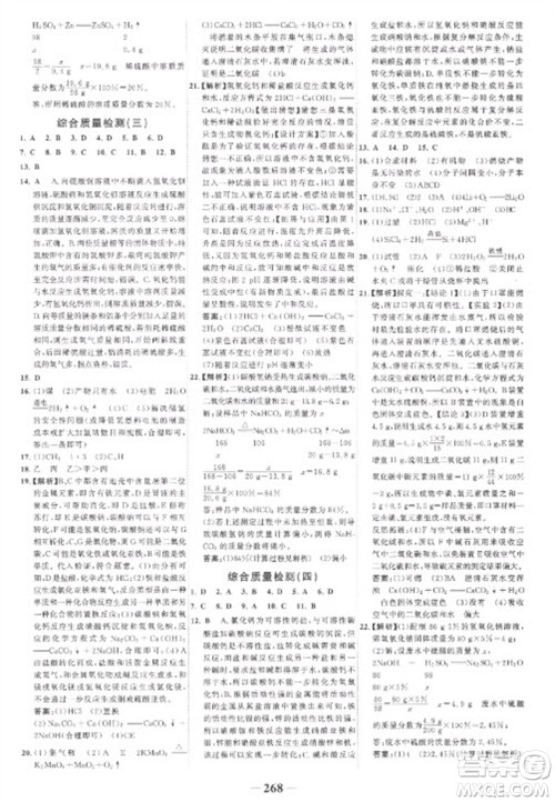 未来出版社2023世纪金榜初中全程复习方略九年级化学人教版参考答案