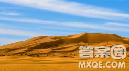 撒哈拉的故事读后感600字 关于撒哈拉的故事的读后感600字