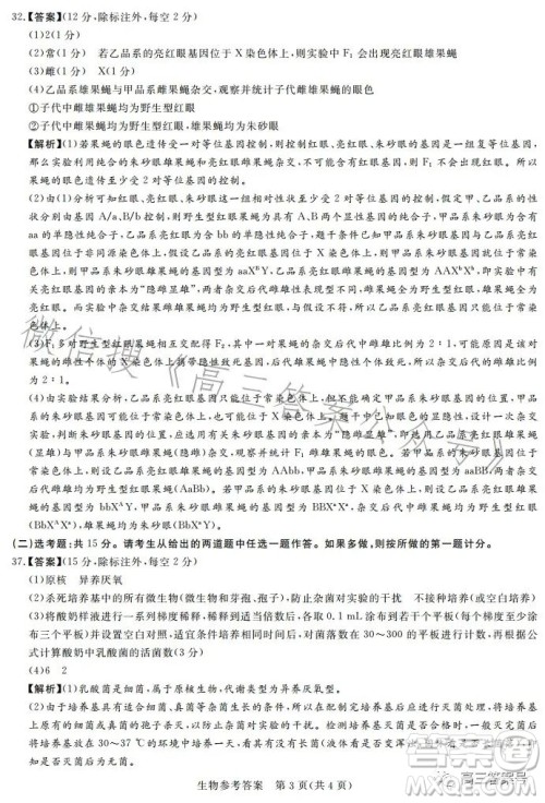 湘豫名校联考2023年2月高三春季入学摸底考试理科综合试卷答案 湘豫名校联考2023年2月高三春季入学摸底考试理科综合试卷答案
