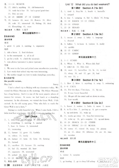 阳光出版社2023全品学练考七年级下册英语人教版参考答案