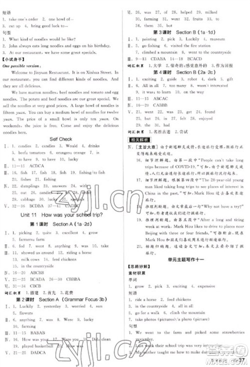 天津人民出版社2023全品学练考七年级下册英语人教版内蒙古专版参考答案