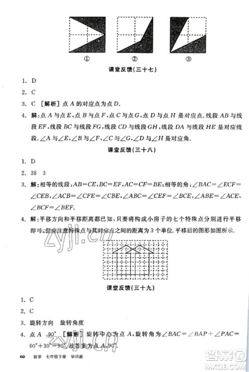 阳光出版社2023全品学练考七年级下册数学华师版参考答案