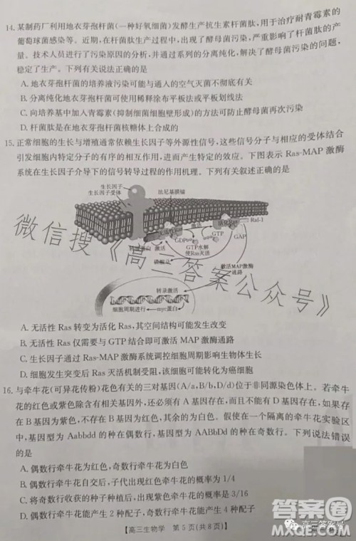 2023湖南金太阳联考23273C高三生物试卷答案 2023湖南金太阳联考23273C高三生物试卷答案