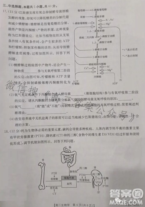 2023湖南金太阳联考23273C高三生物试卷答案 2023湖南金太阳联考23273C高三生物试卷答案