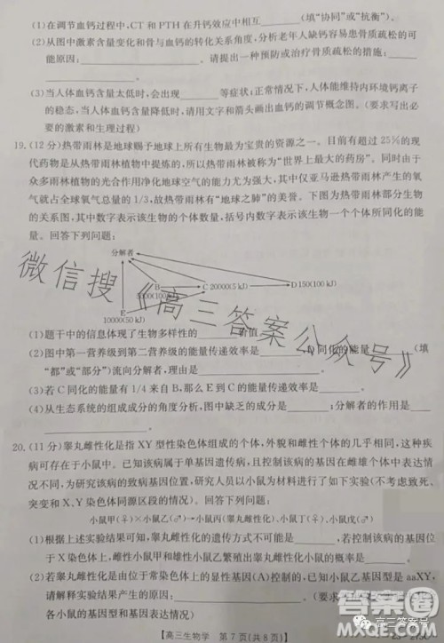 2023湖南金太阳联考23273C高三生物试卷答案 2023湖南金太阳联考23273C高三生物试卷答案