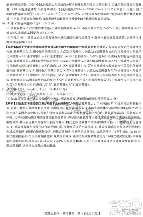 2023湖南金太阳联考23273C高三生物试卷答案 2023湖南金太阳联考23273C高三生物试卷答案