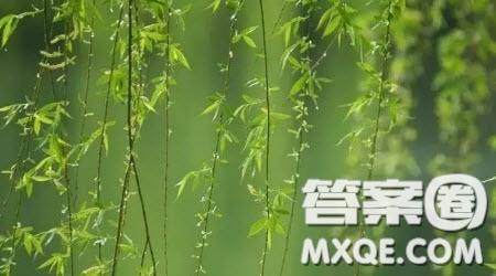 心中的那一束光为题作文600字 关于心中的那一束光为题目的作文600字 心中的那一束光为题作文600字 关于心中的那一束光为题目的作文600字