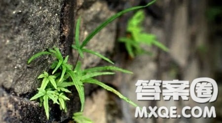 感受一瞬间的美好为题作文600字 关于感受一瞬间的美好为题的作文600字