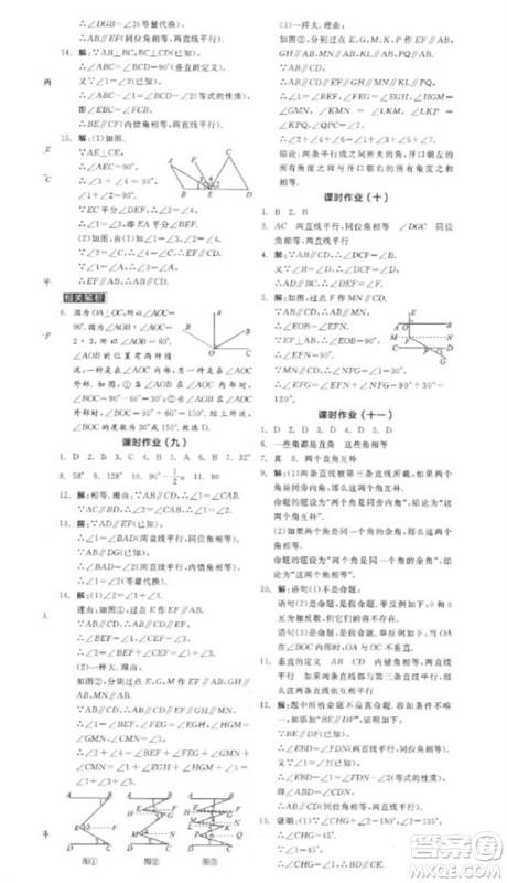 阳光出版社2023全品学练考七年级下册数学人教版参考答案