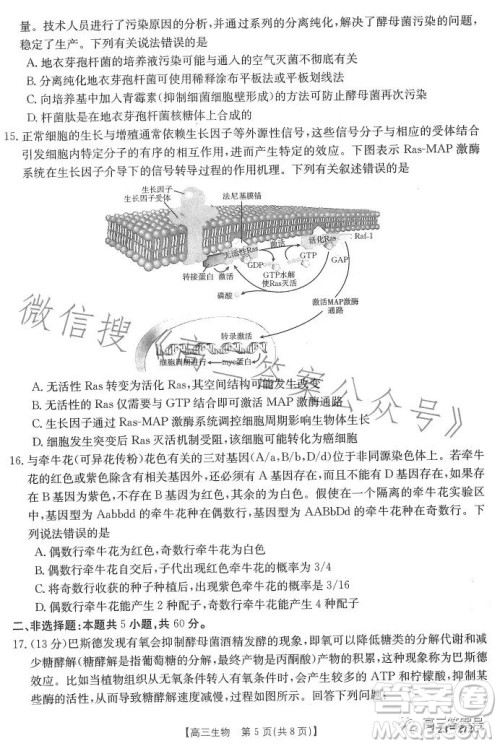 2023广东金太阳2月联考23272C高三生物试卷答案