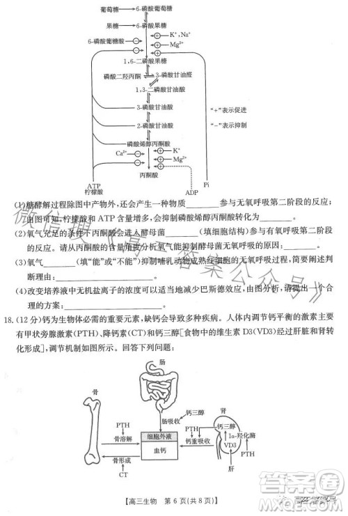 2023广东金太阳2月联考23272C高三生物试卷答案