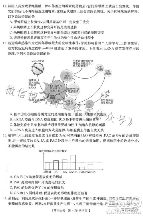 2023广东金太阳2月联考23272C高三生物试卷答案