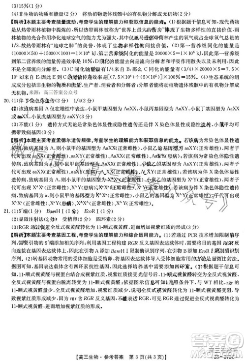 2023广东金太阳2月联考23272C高三生物试卷答案 2023广东金太阳2月联考23272C高三生物试卷答案