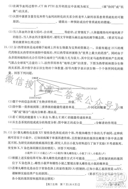 2023广东金太阳2月联考23272C高三生物试卷答案 2023广东金太阳2月联考23272C高三生物试卷答案