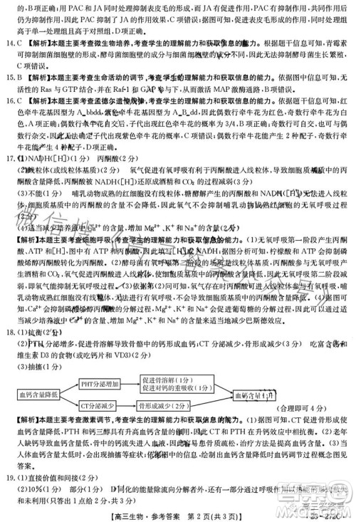 2023广东金太阳2月联考23272C高三生物试卷答案 2023广东金太阳2月联考23272C高三生物试卷答案