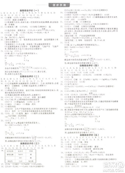 阳光出版社2023全品学练考九年级下册化学人教版参考答案