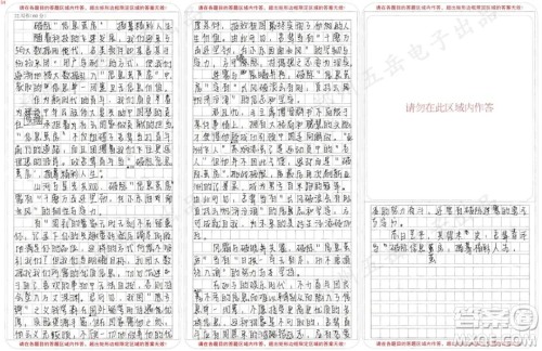 如何破除信息茧房作文800字 关于如何破除信息茧房的作文800字