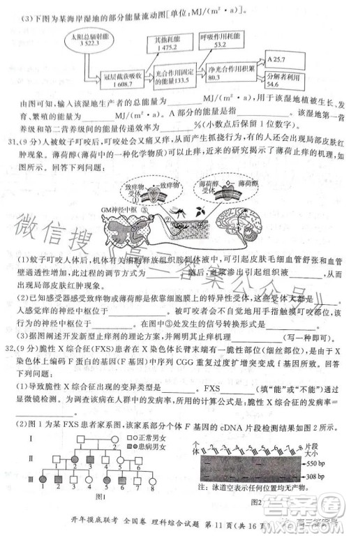 百师联盟2023届高三开年摸底联考全国卷理科综合试题答案 百师联盟2023届高三开年摸底联考全国卷理科综合试题答案