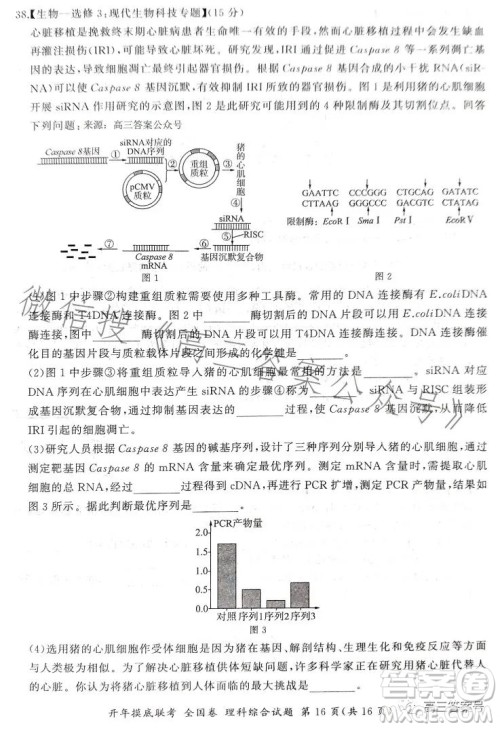 百师联盟2023届高三开年摸底联考全国卷理科综合试题答案 百师联盟2023届高三开年摸底联考全国卷理科综合试题答案