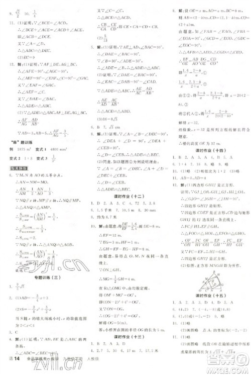 阳光出版社2023全品学练考九年级下册数学人教版参考答案