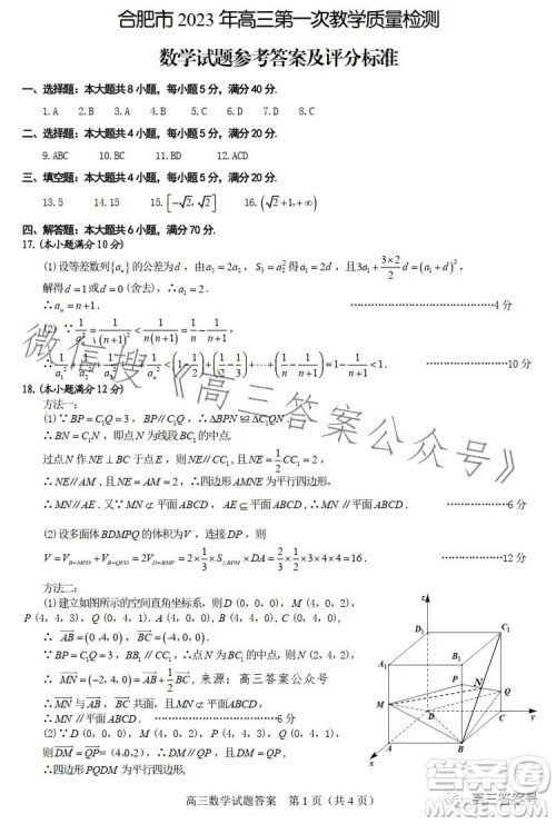 合肥市2023年高三第一次教学质量检测数学试卷答案