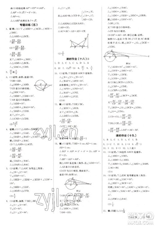 天津人民出版社2023全品学练考九年级下册数学苏科版参考答案
