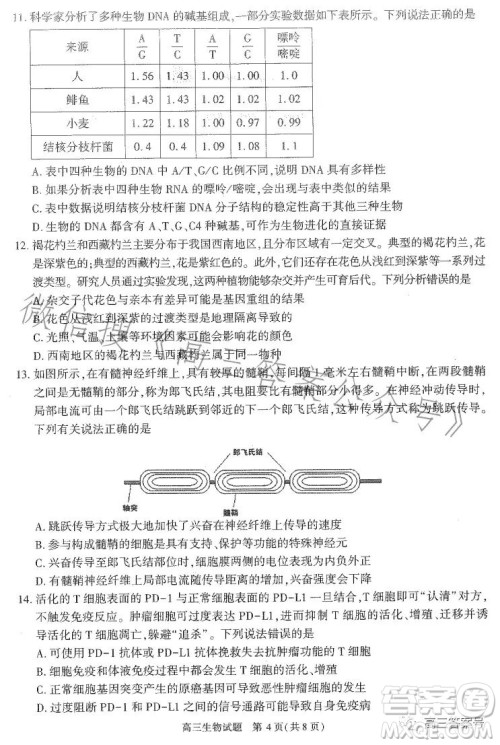 合肥市2023年高三第一次教学质量检测生物试卷答案