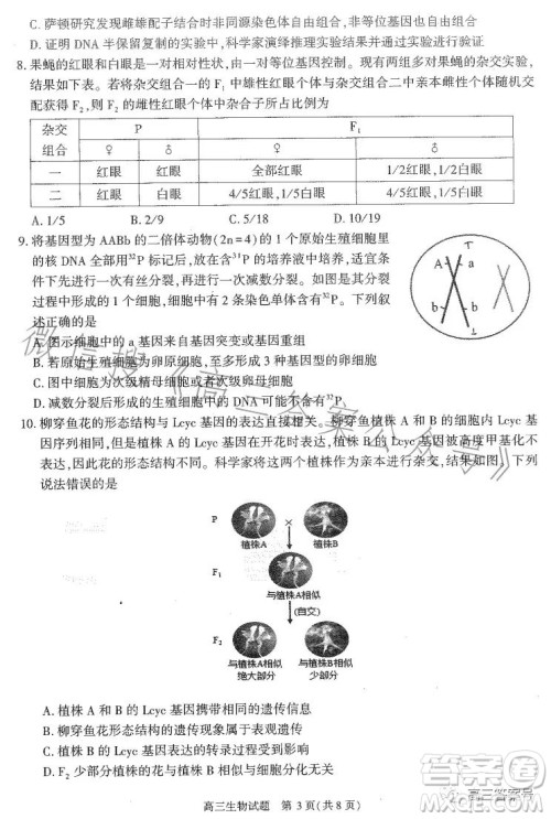 合肥市2023年高三第一次教学质量检测生物试卷答案