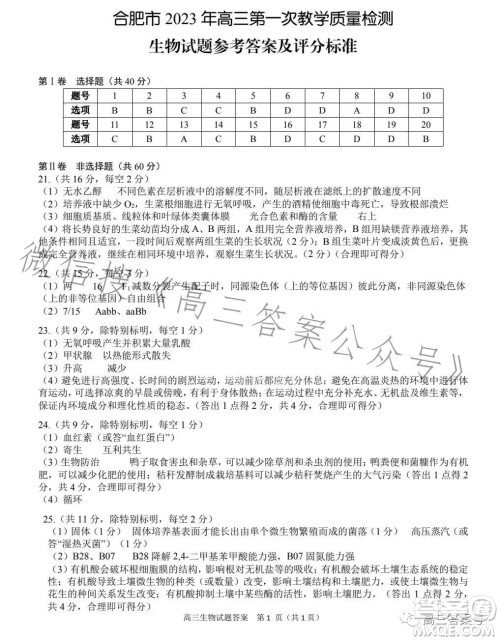 合肥市2023年高三第一次教学质量检测生物试卷答案
