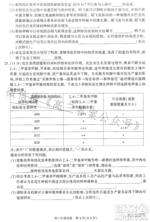 合肥市2023年高三第一次教学质量检测生物试卷答案