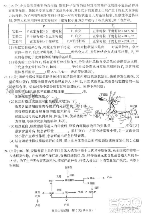合肥市2023年高三第一次教学质量检测生物试卷答案