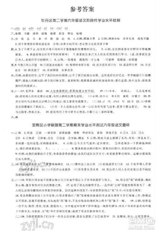 江西教育出版社2023阳光同学课时优化作业六年级语文下册人教版菏泽专版参考答案