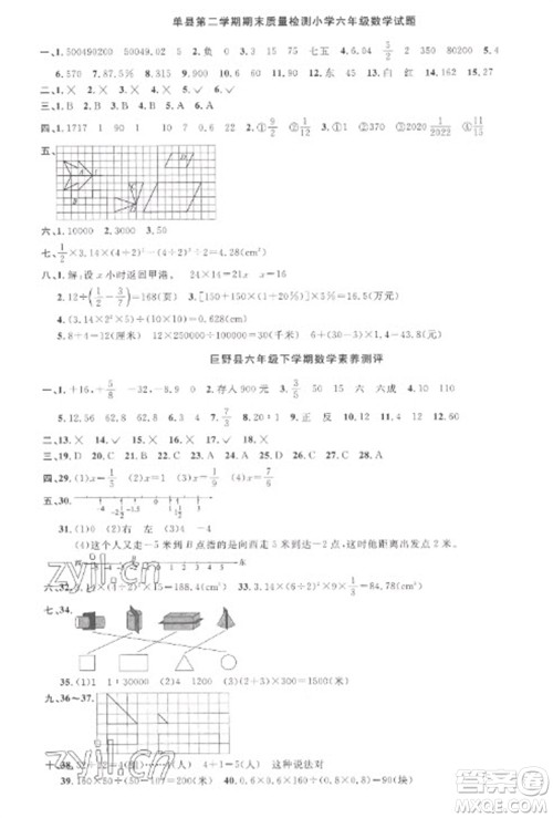 江西教育出版社2023阳光同学课时优化作业六年级数学下册人教版菏泽专版参考答案