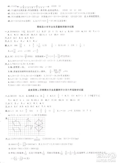 江西教育出版社2023阳光同学课时优化作业六年级数学下册人教版菏泽专版参考答案 江西教育出版社2023阳光同学课时优化作业六年级数学下册人教版菏泽专版参考答案